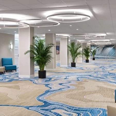 Hilton Clearwater Beach Resort & Spa-2